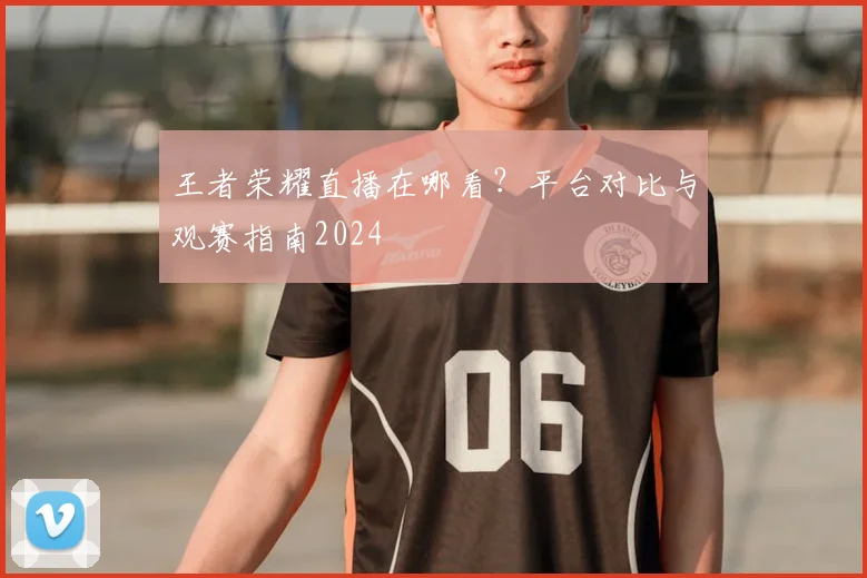 王者荣耀直播在哪看?平台对比与观赛指南2024